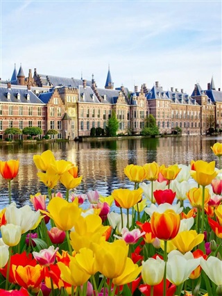 荷蘭留學(xué)|為什么選擇荷蘭留學(xué)？所有你關(guān)心的問題，在這兒都能找到答案！