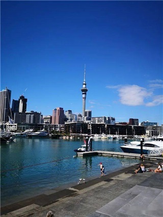 新西蘭留學(xué)|新西蘭中小學(xué)留學(xué)全攻略：優(yōu)勢(shì)、課程體系與申請(qǐng)指南!